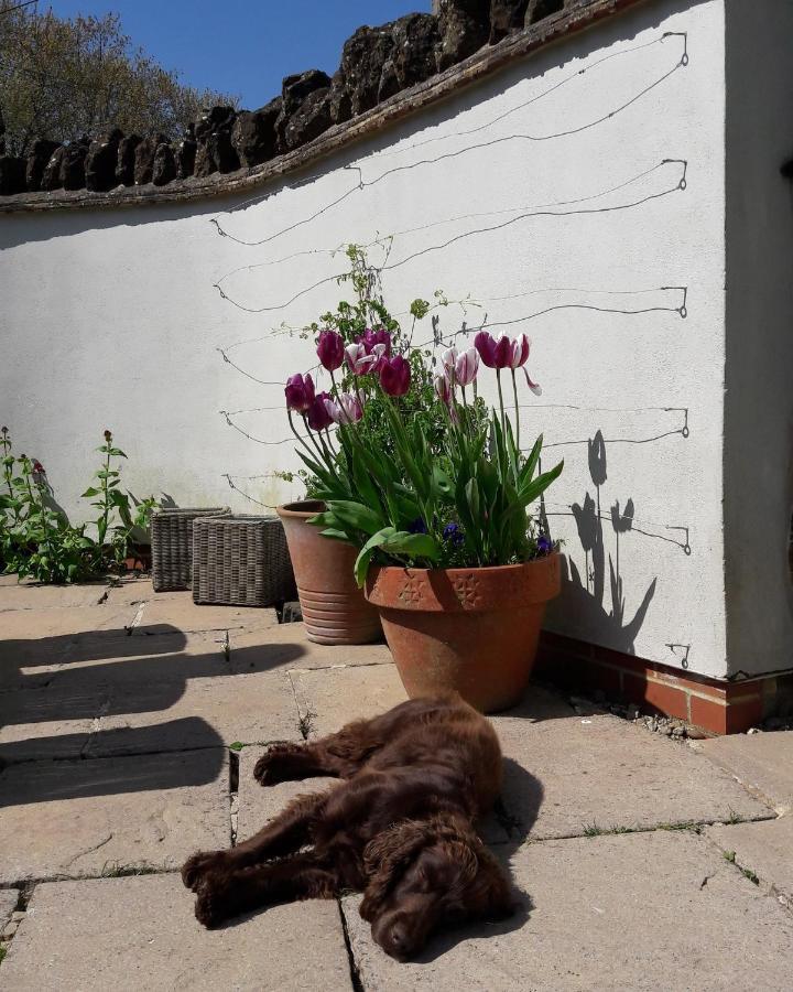 Wayside House B&B Whichford 外观 照片