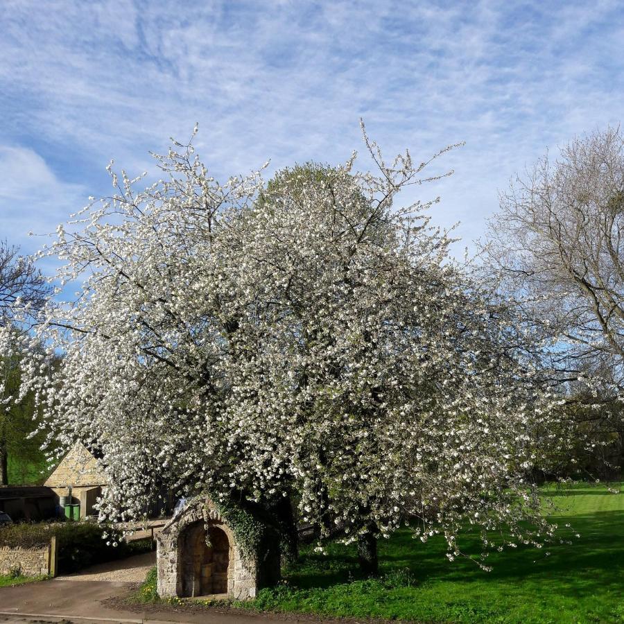 Wayside House B&B Whichford 外观 照片